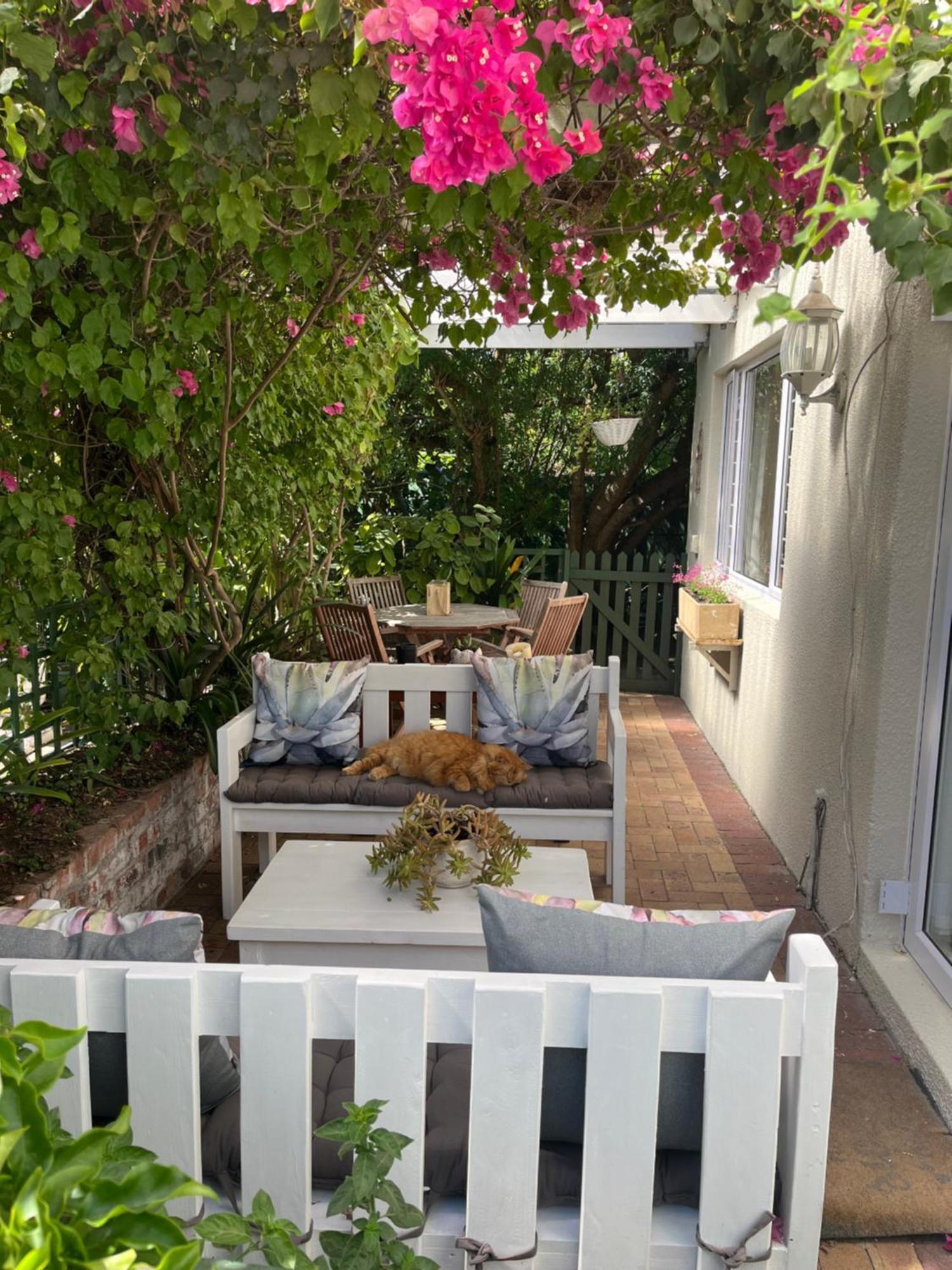 On Broadwalk Cottage كيب تاون المظهر الخارجي الصورة